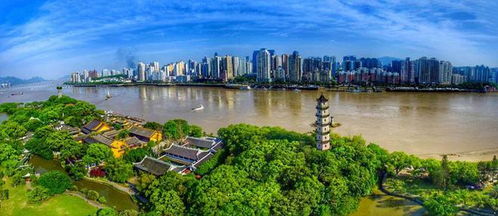 壽縣青少年龍舟隊出征全國賽，溫州賽場展風(fēng)采